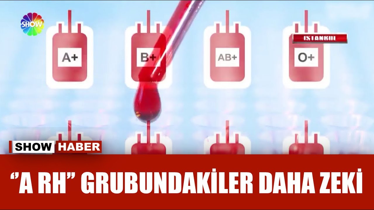 Zeka ve sağlığı kan grubu mu belirliyor?