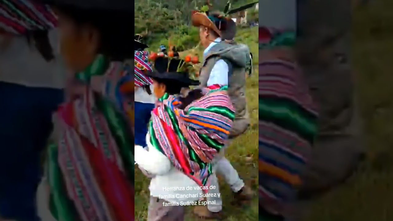 Herranza de vacas en Tintay puncu #costumbres#tintaypuncu#santiago2025
