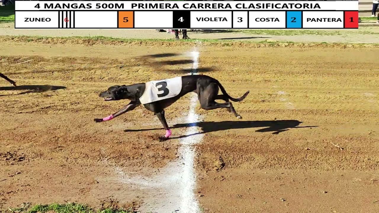 Carerra Humilladero 08/12/2024