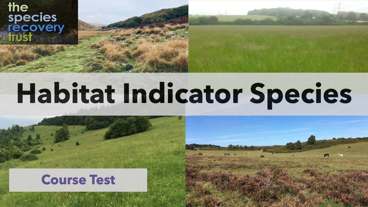 Habitat Indicators Course Test
