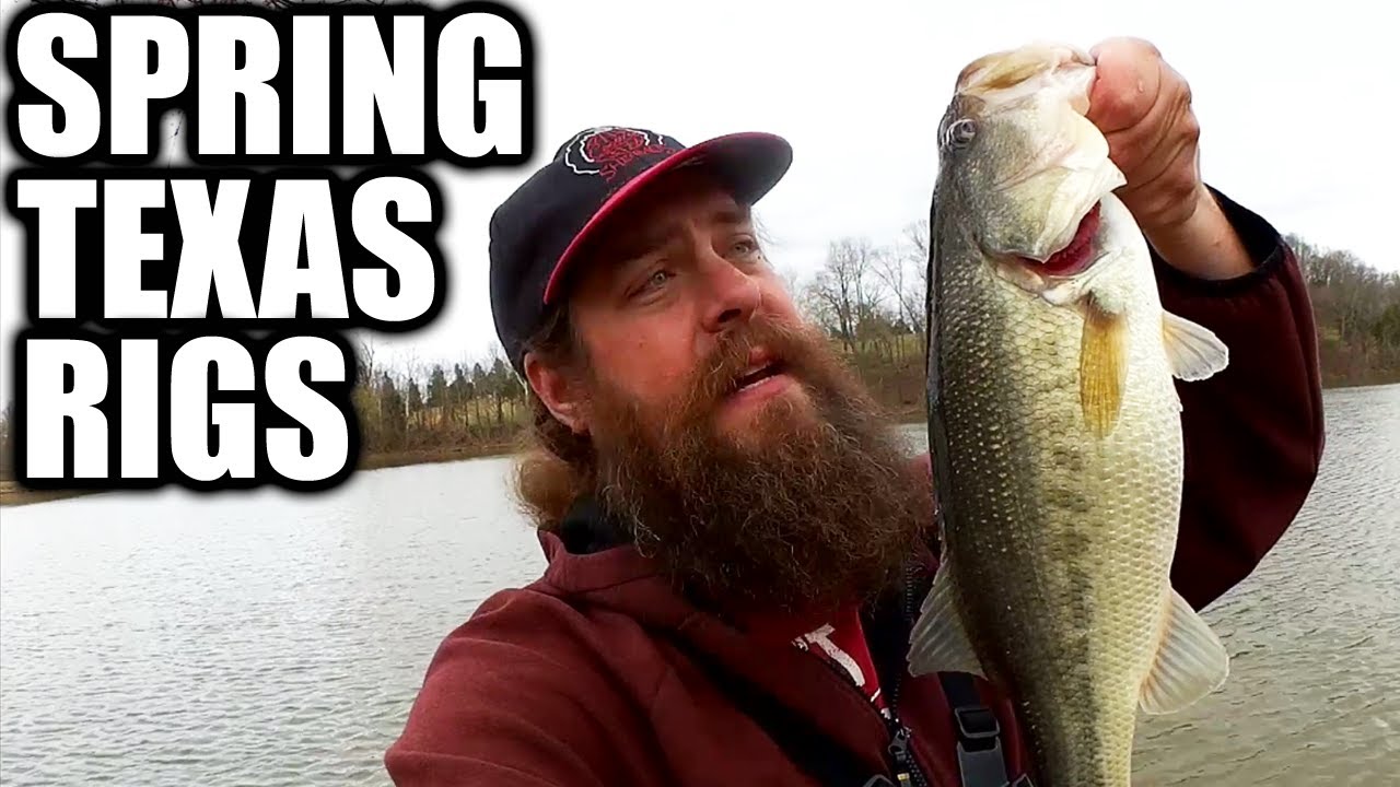 Early Spring BASS FISHING From the Bank! Texas Rig Plastic Worm LOVE!