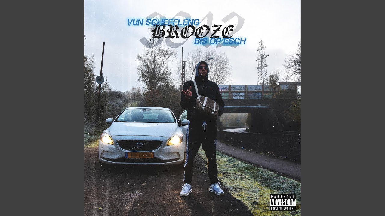 Probleemer (feat. Vinci)
