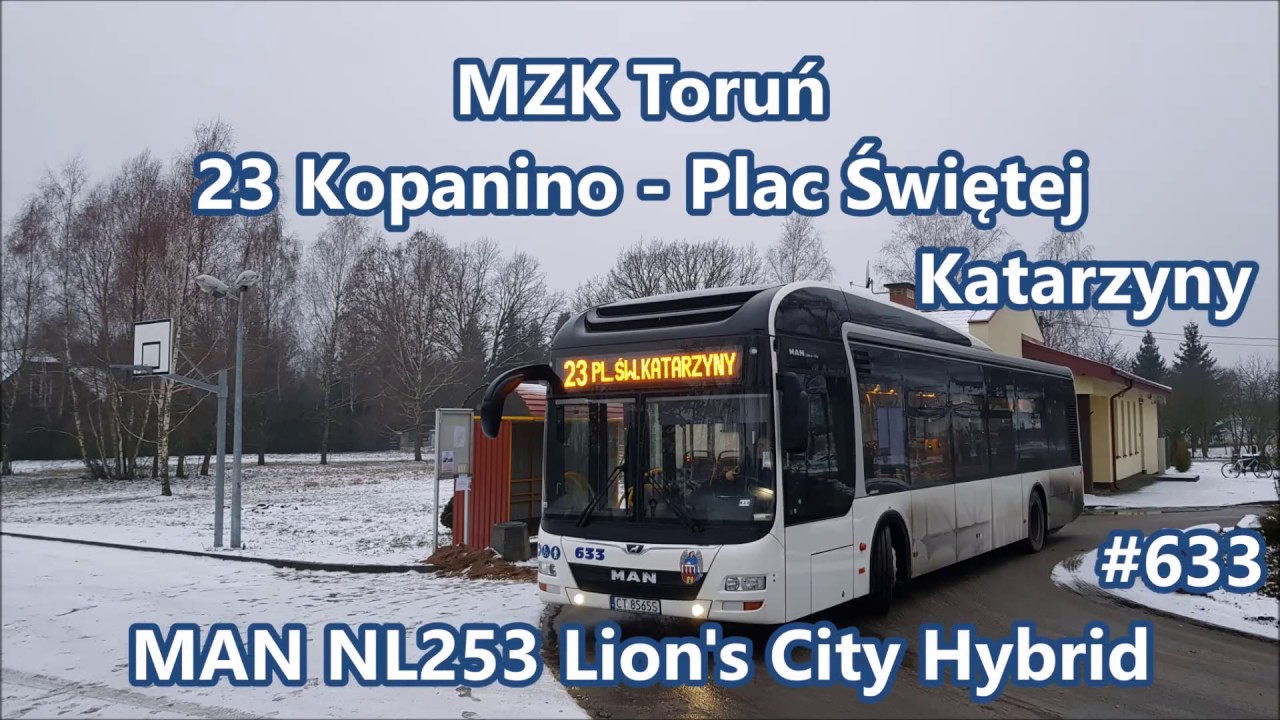 MZK Toruń - linia 23, MAN NL253 Lion's City Hybrid 