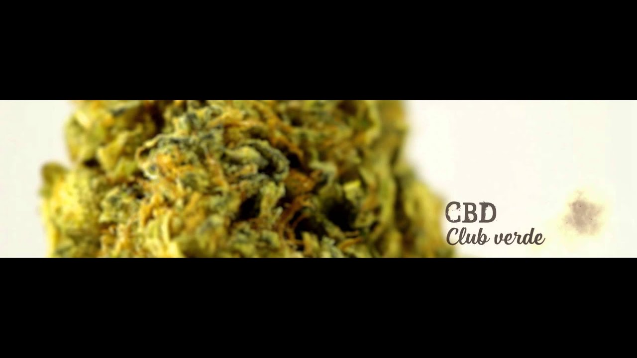Social Clubs Cup 2015 |  &Iacute;ndicas