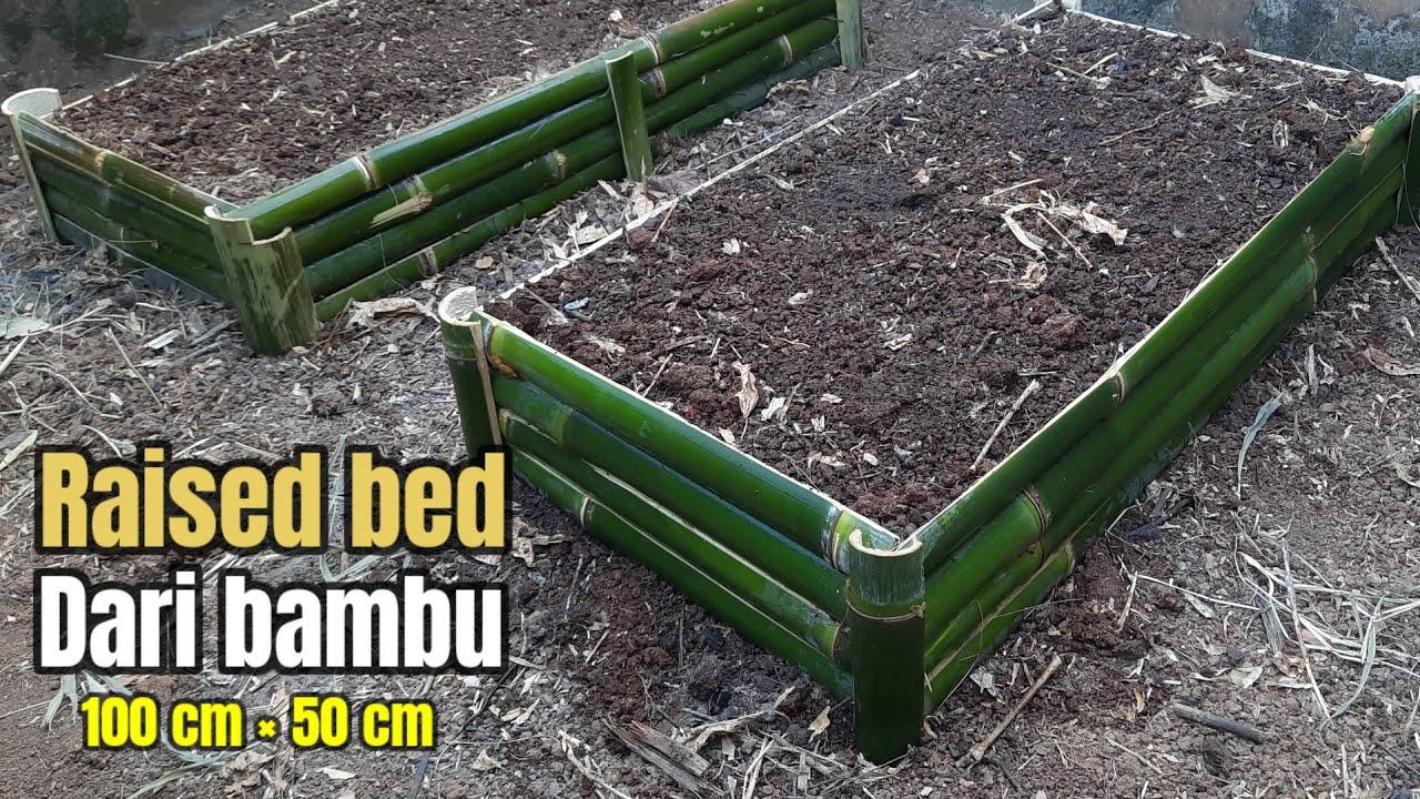 Tanpa paku ‼️ Cara membuat raised bed dari bambu, ukuran 100 cm × 50 cm.