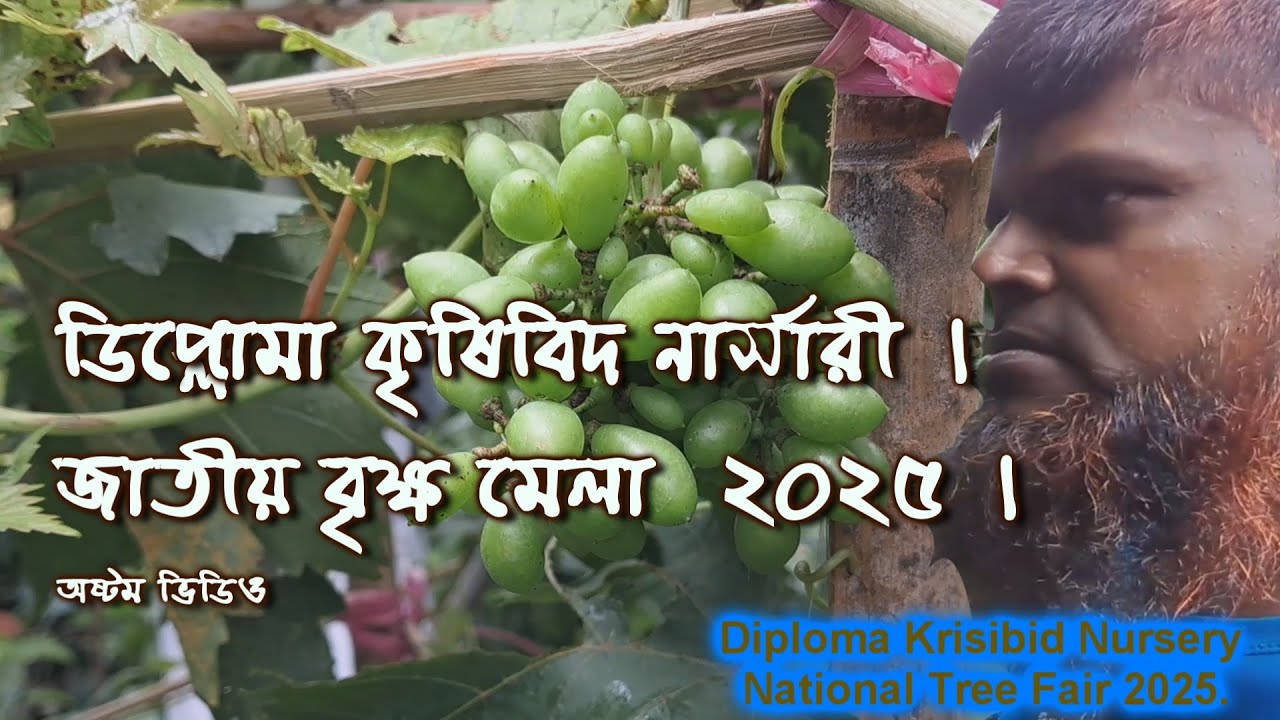 ডিপ্লোমা কৃষিবিদ নার্সারী |  জাতীয় বৃক্ষ মেলা  ২০২৫ | নবম ভিডিও
