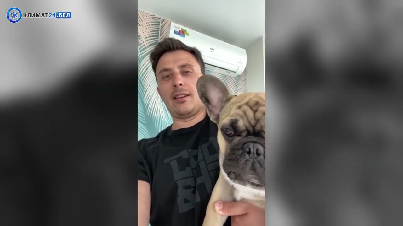 Отзыв об установке Ballu Prime