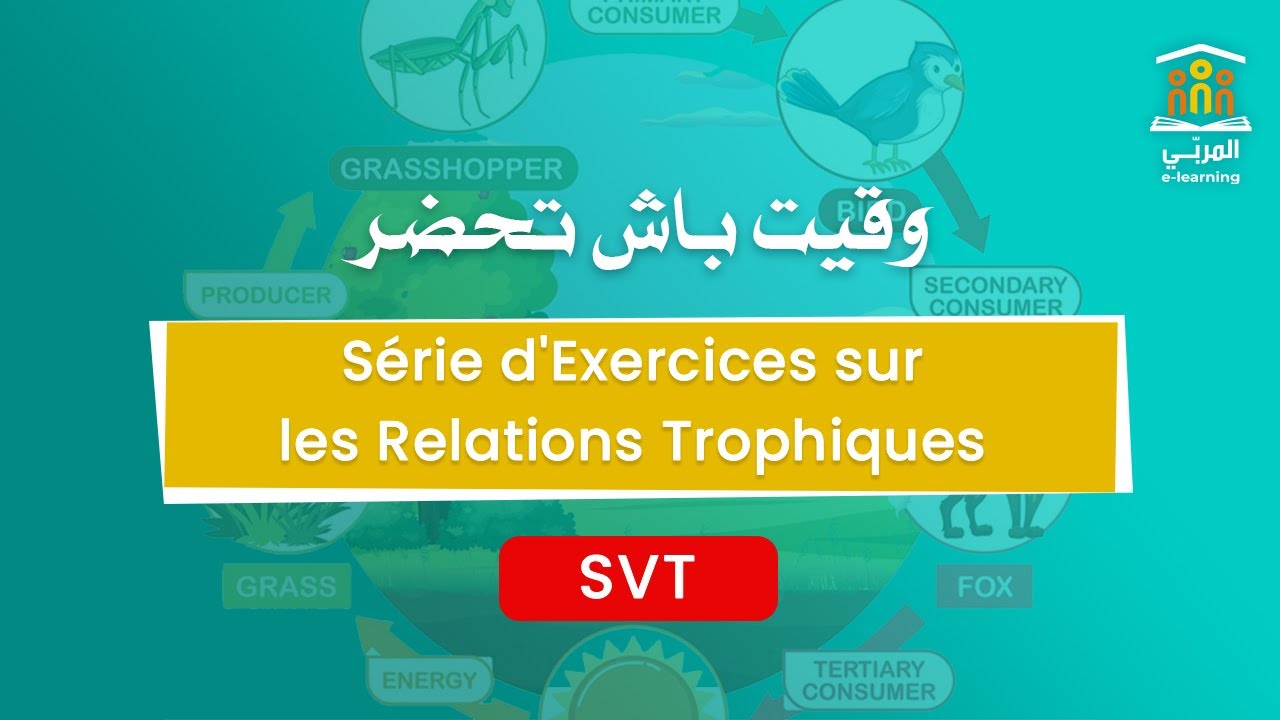 2ème Sciences : SVT - Série d'Exercices sur les Relations Trophiques | Types et Organisations
