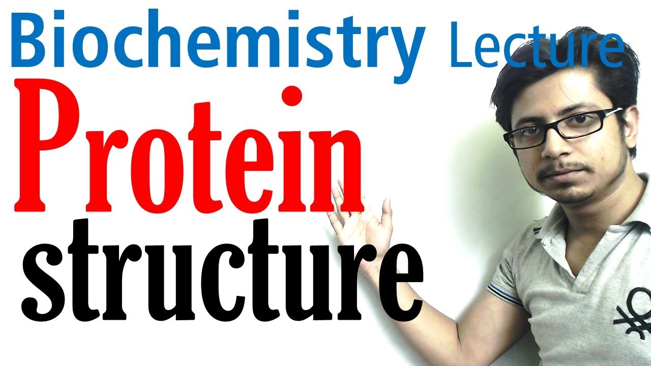 Protein structure | primary secondary tertiary and  quaternary structure of protein