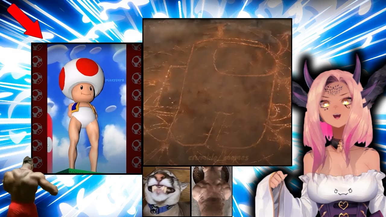 Trickywi Reacts To StreetCan