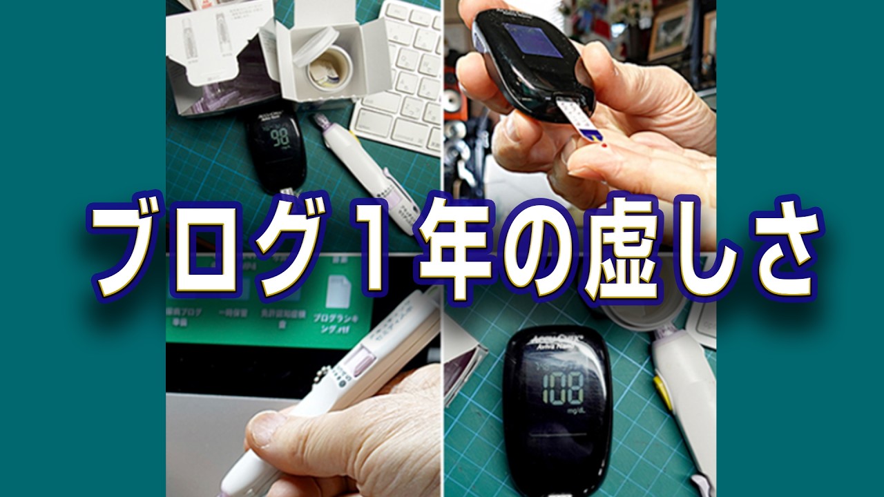 ブログ１年の虚しさ