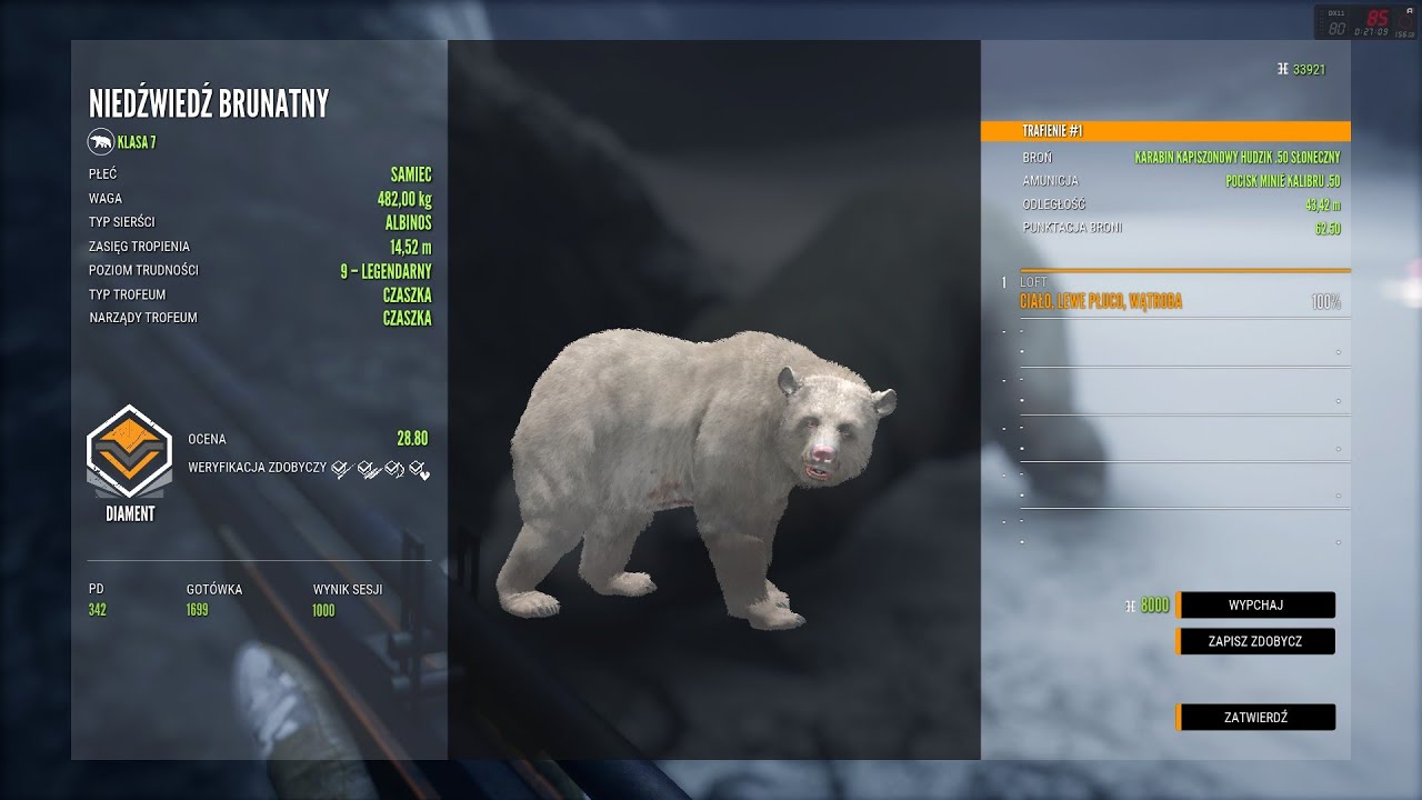 Na tropie🐾 wyjątkowego🕵️ Niedźwiedzia🐻 / theHunter Call of the Wild™ 178 odcinek by LOFT