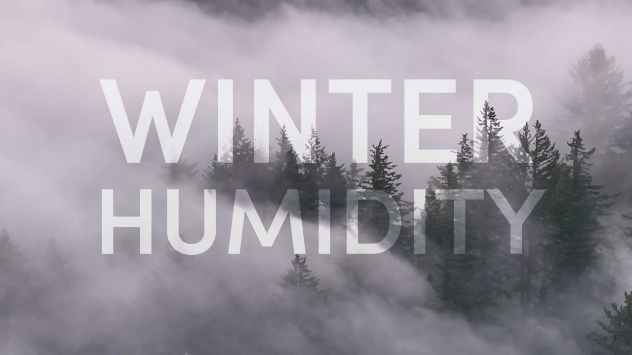 Winter Humidity. What is it? How can I protect against it? Eva-Dry has the answers