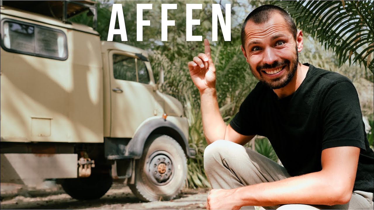 Unter AFFEN und POLIZEIKONTROLLEN 🐒 Overlanding Gambia