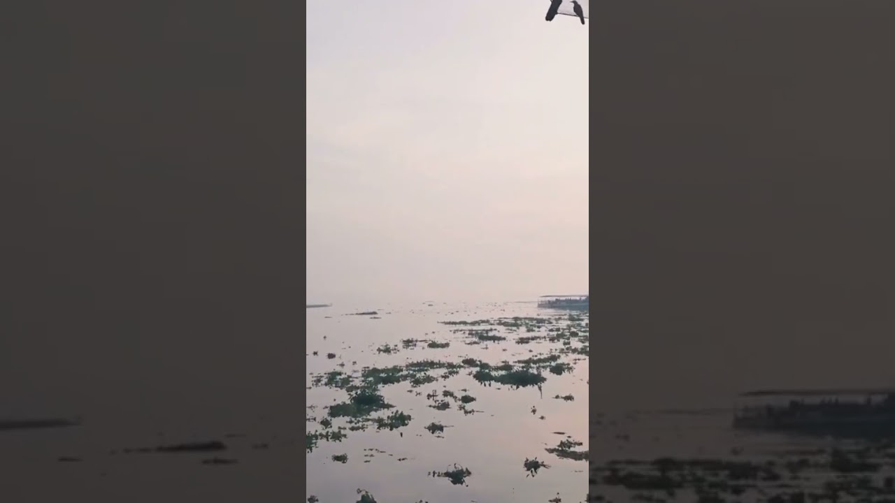 Kerala Piravi 2024 | God's Own Country! 