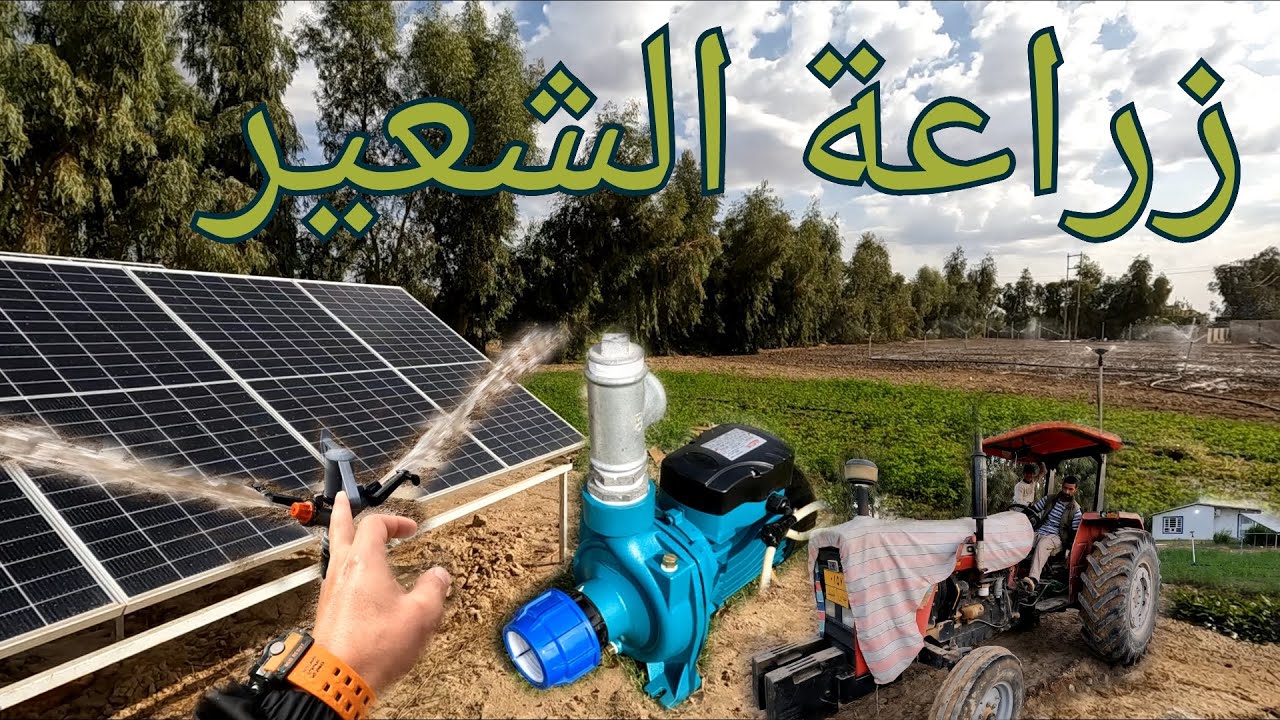 (113) نظام مرشات زراعية تعمل على الطاقة الشمسية،تكاليف زراعة دونم واحد شعير كعلف للحيوانات