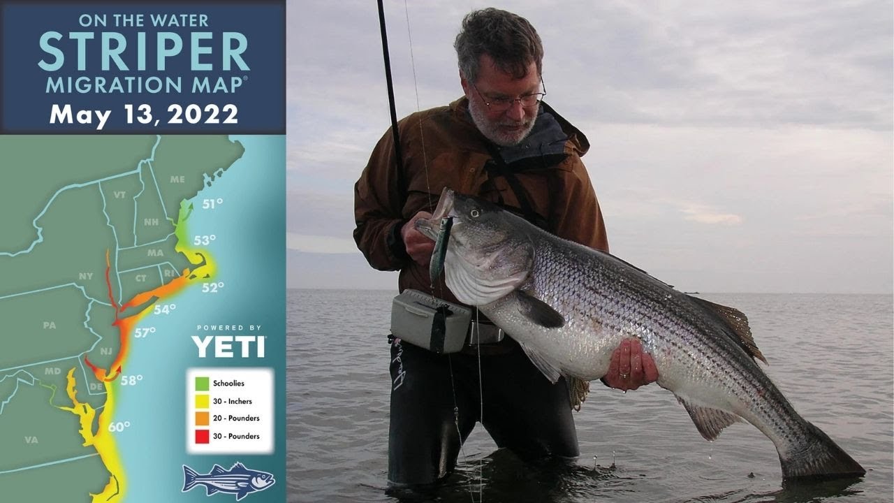 Stripers on Bucktails with John Skinner | Striper Season Update Ep. 33