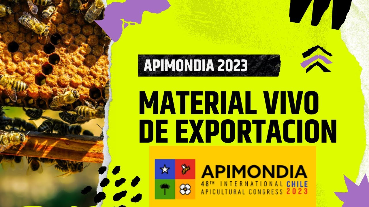 Productores de material vivo de exportacion APIMONDIA - Live material producers for export