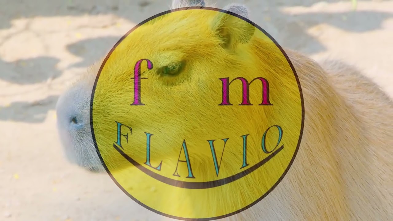 LATIN HOUSE , LATEN HOUSE REMIX vol.2 by DJ FLAVIO