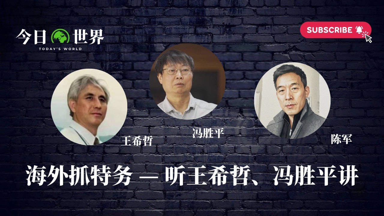 海外抓特务 &mdash; 听王希哲，冯胜平讲 #冯胜平 #陈军