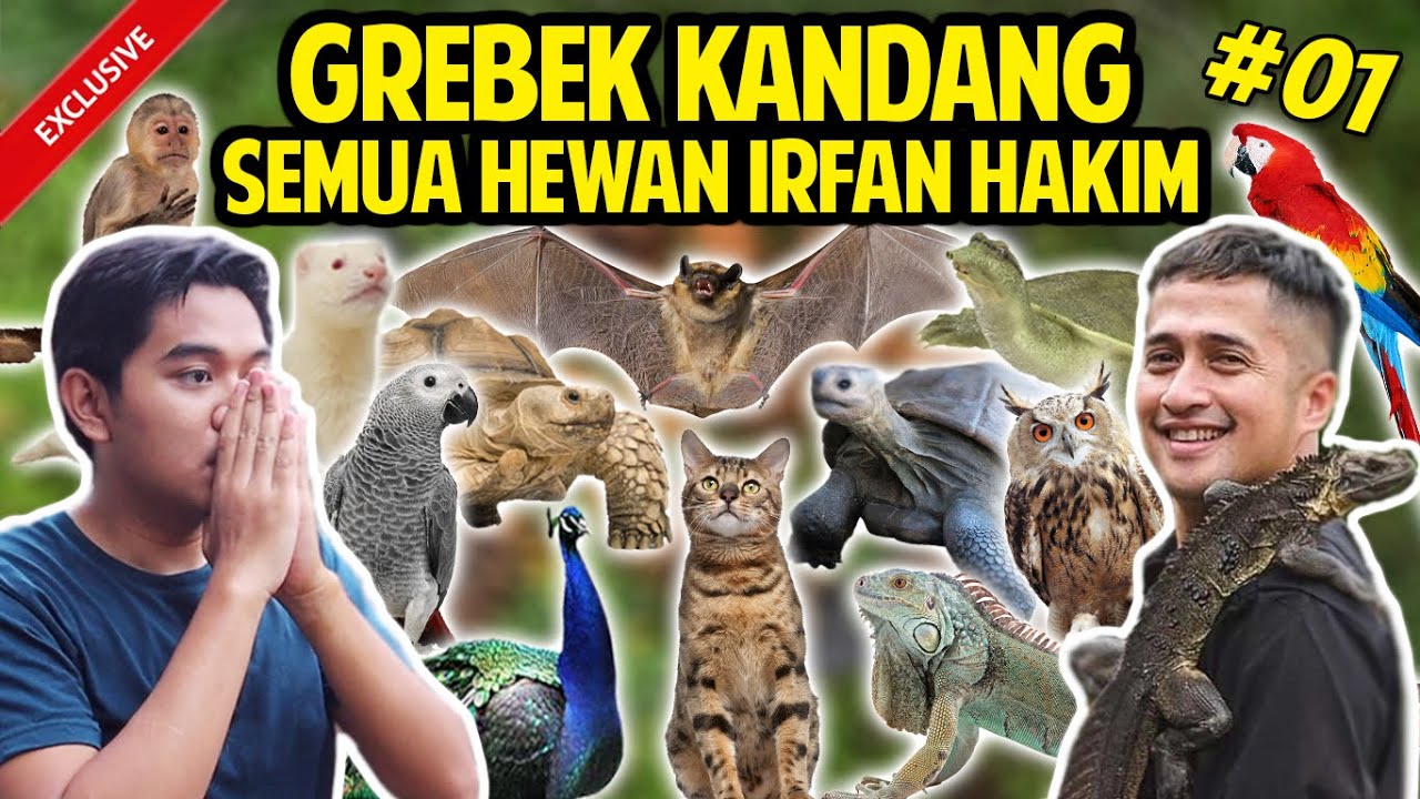 GREBEK SEMUA KOLEKSI HEWAN IRFAN HAKIM TERLENGKAP! RUMAH ISINYA HEWAN SEMUA! #GREBEKKANDANG #PART1