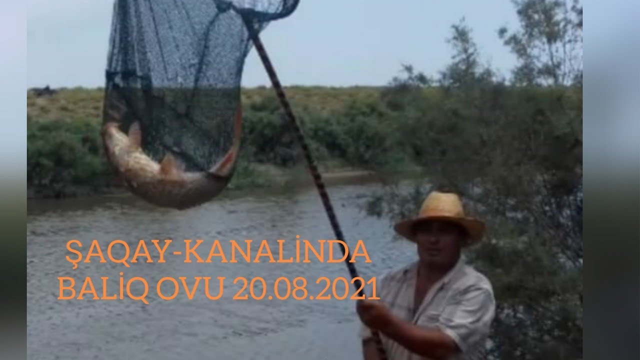 ŞAQAY-KANALİNDA BALİQ OVU!! 20.08.2021