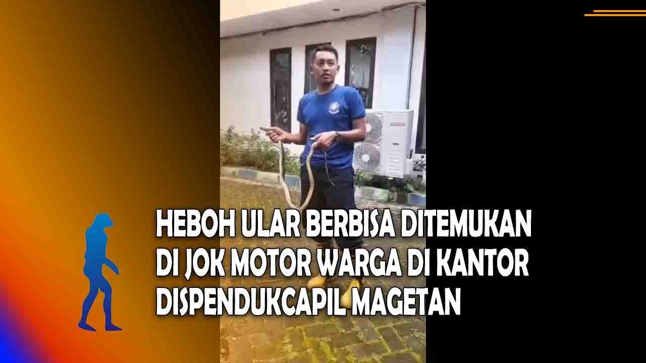 MAGETAN Heboh Ular Berbisa Ditemukan Di Jok Motor Warga Di Kantor Dispendukcapil Magetan