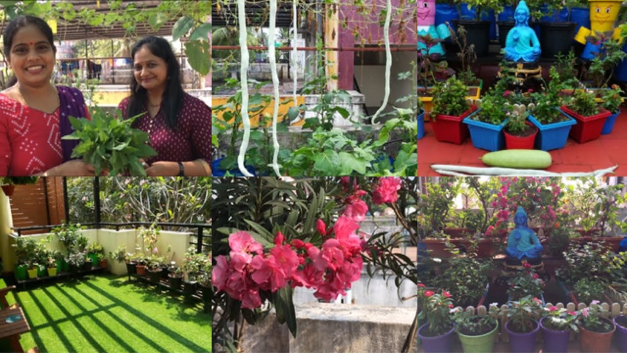 SANDHAI/Terrace Garden/9500087119/மாடி தோட்டம் அமைப்பது எப்படி?