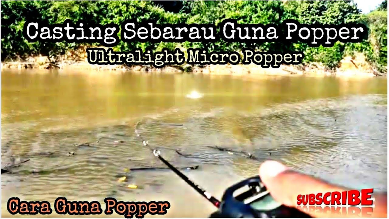 CARA GUNA POPPER | Top Water Fishing | Letupan padu sebarau | Casting Hampala Using Popper |
