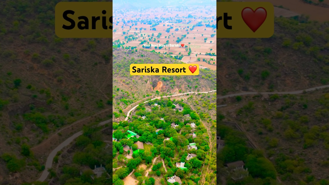 THIS is Perfect JUNGLE Resort 🌿 for Weekend Getaway near Delhi #resort #sariska #shortsfeed #2025