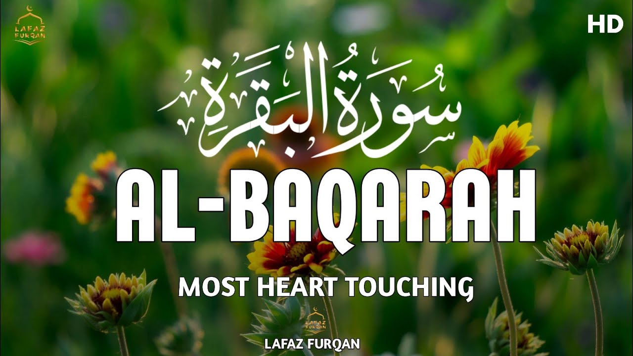 Surah Al Baqarah ( سورة البقره)  Most Heart Touching recitation | By Alaa Aqel 