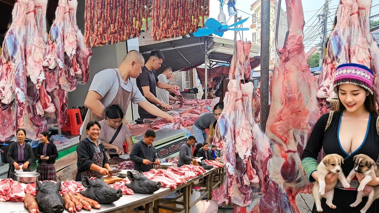 Exploring Vietnam’s Traditional Market – A Hidden Culinary Paradise You Won’t Believe Exists