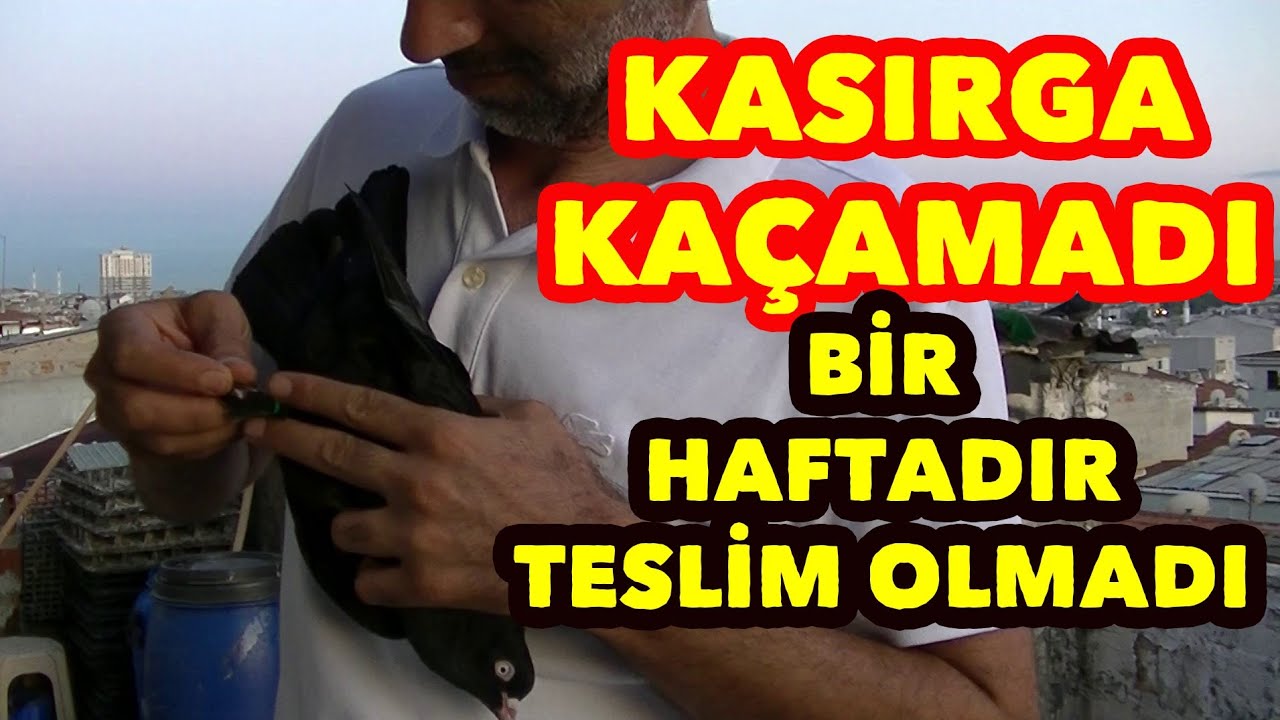 KASIRGA BİLE OLSAN BİZDEN KURTULUŞ YOK! PANTERSİN AMA ARTİSLİK YAPMA!!
