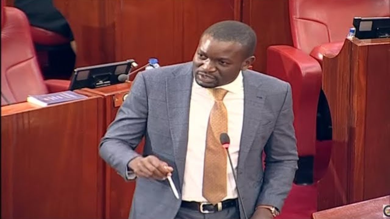 LIVE!! Heated debate in  Senate as Senators debate Kisii Deputy Governor's impeachment!!