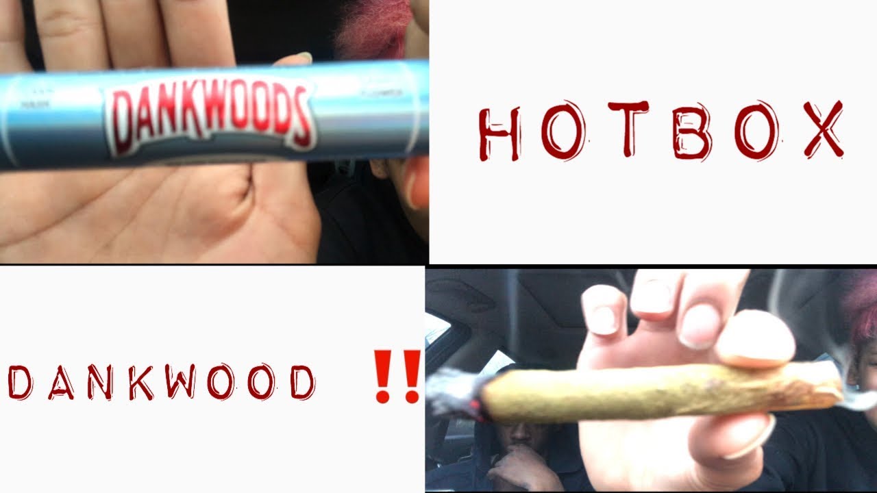 HOTBOX DANKWOOD‼️ (WE GOT HIGH ASH)