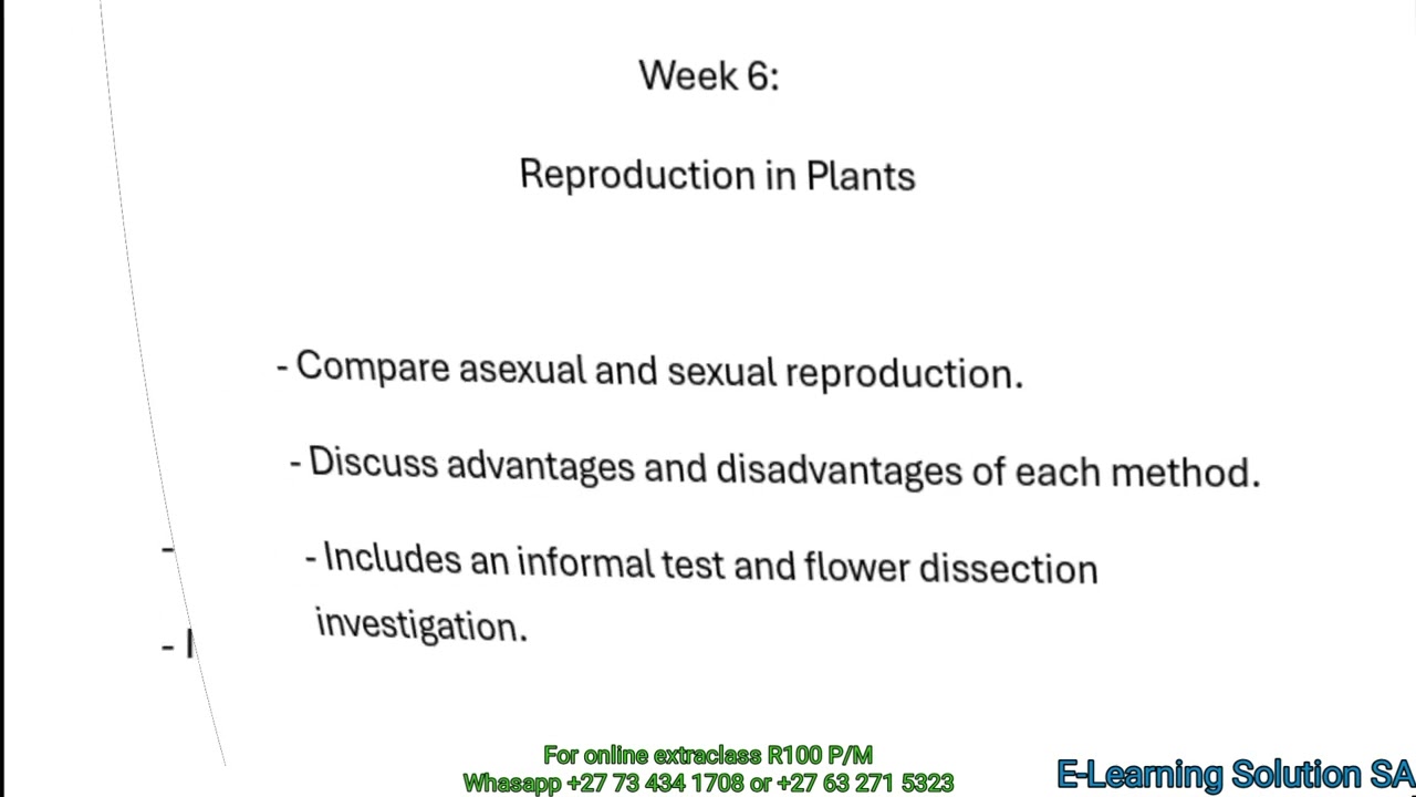 Grade 11 Life Sciences Term 1 | All topics  Test Scope 2026