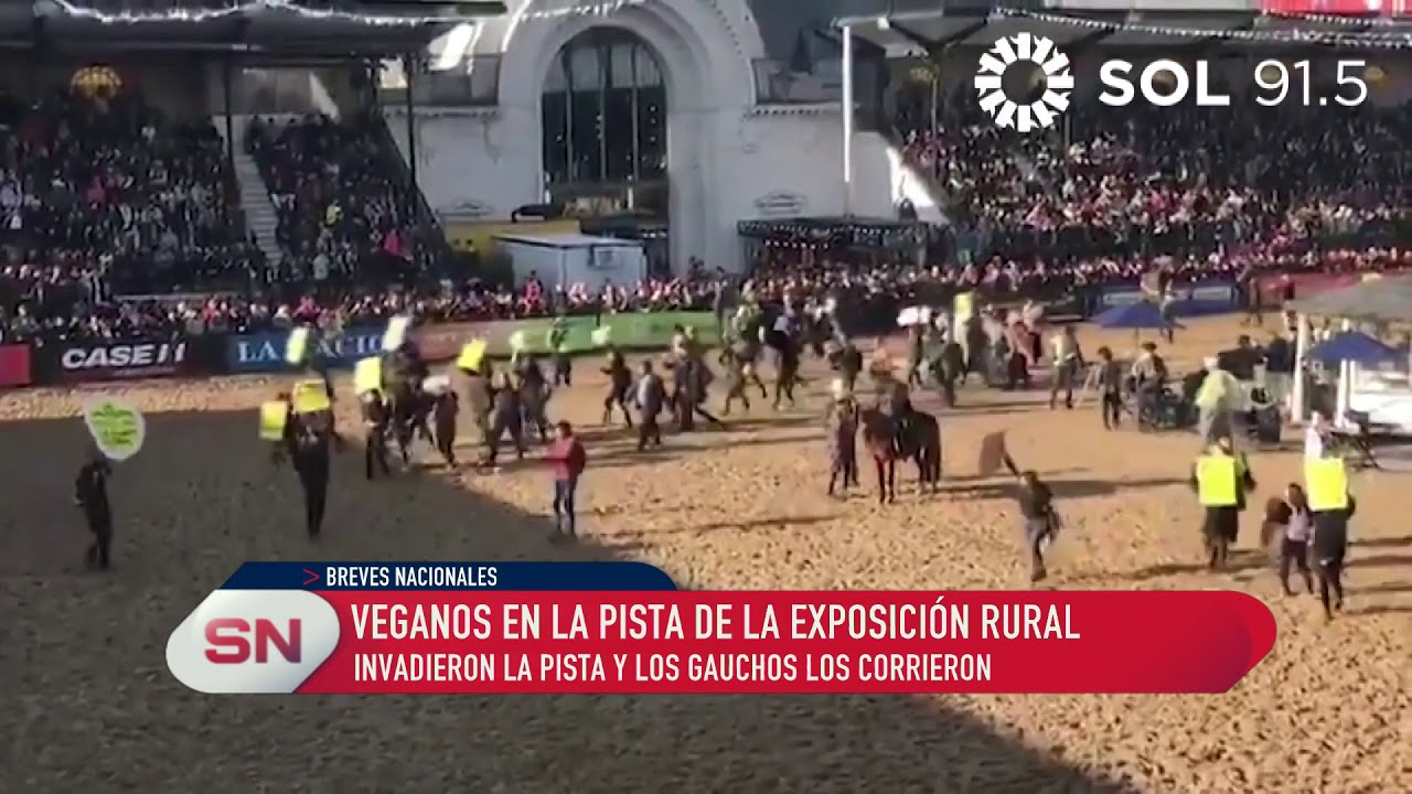 Veganos irrumpieron en la pista de la Sociedad Rural y gauchos a caballo los corrieron.