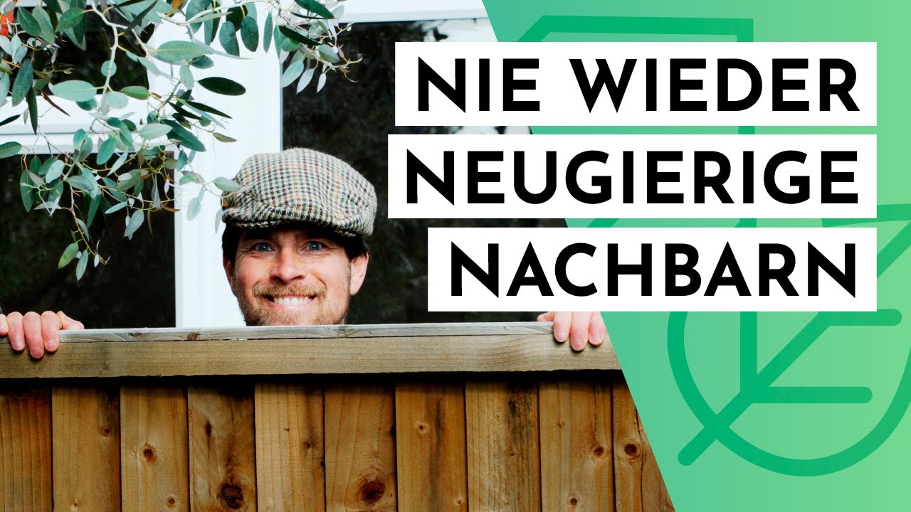 10 Tipps für mehr Sichtschutz und Privatsphäre im Garten