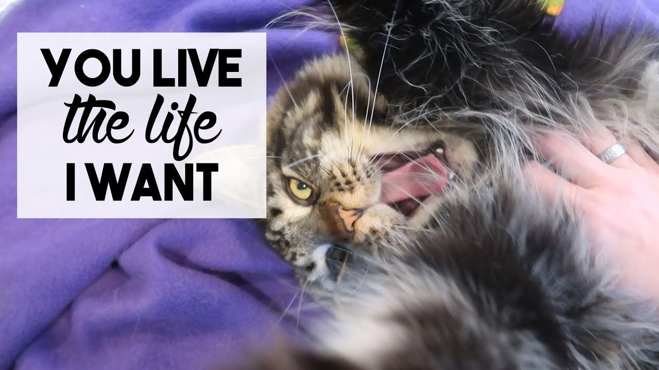 YOU LIVE THE LIFE I WANT | January 14-15, 2019