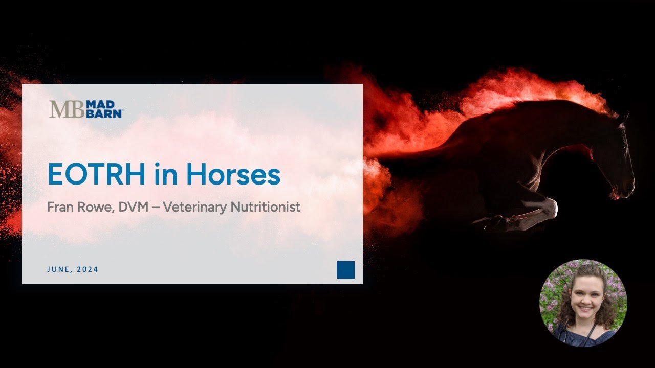 EOTRH in Horses - Mad Barn - Vet Talk