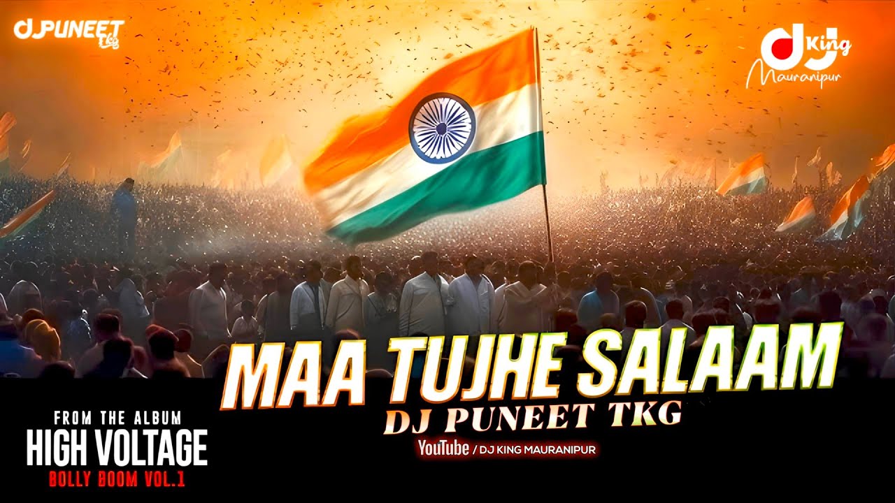 Independence Day Special | Maa Tujhe Salaam | EDM Mix | Vande Vande Mataram | Sunny Deol | DJ Puneet