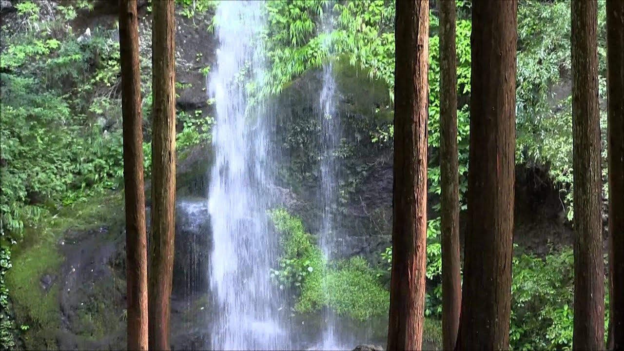 ちょっとお散歩　夕日の滝　南足柄市