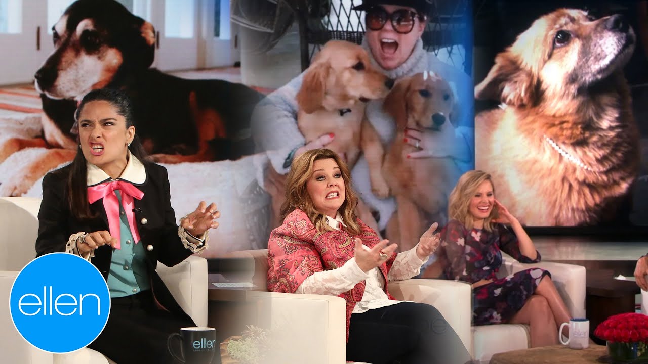 Celebs Talking About Their Dogs for 11 Minutes Straight