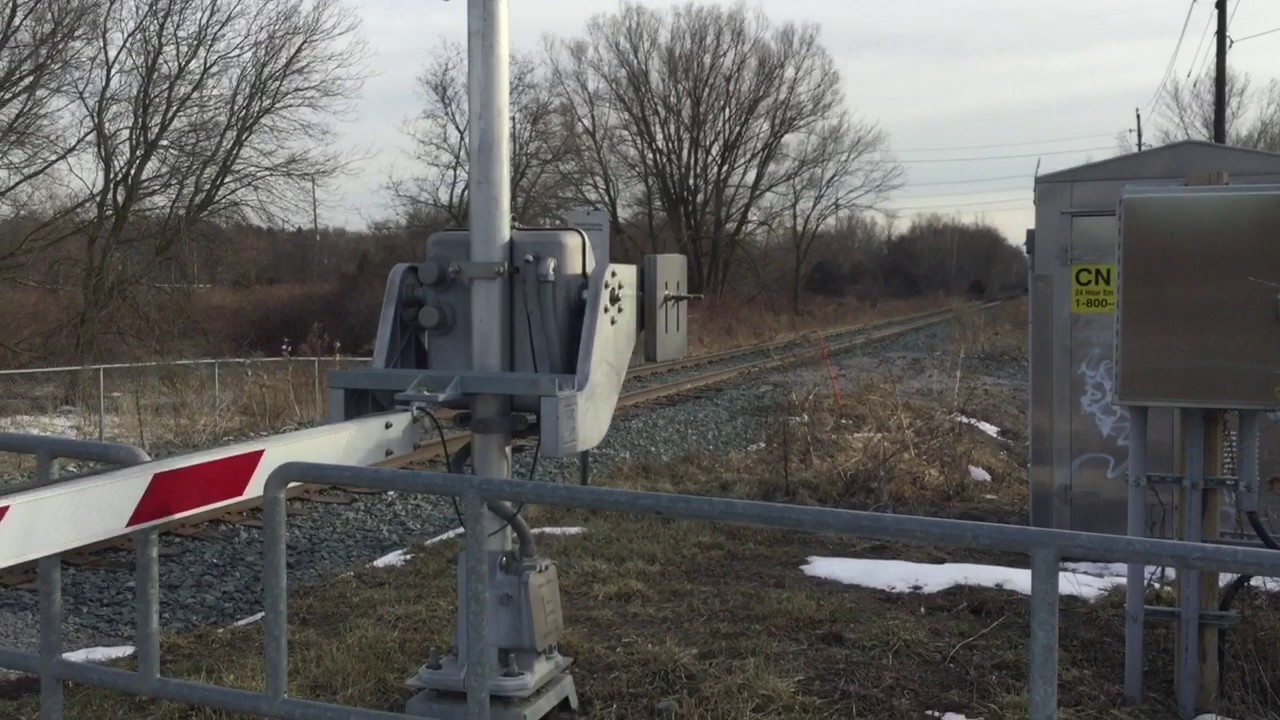 (My First Train Video) Go Transit Cab Car 360 and 649 North At the Walkway Crossing in Newmarket