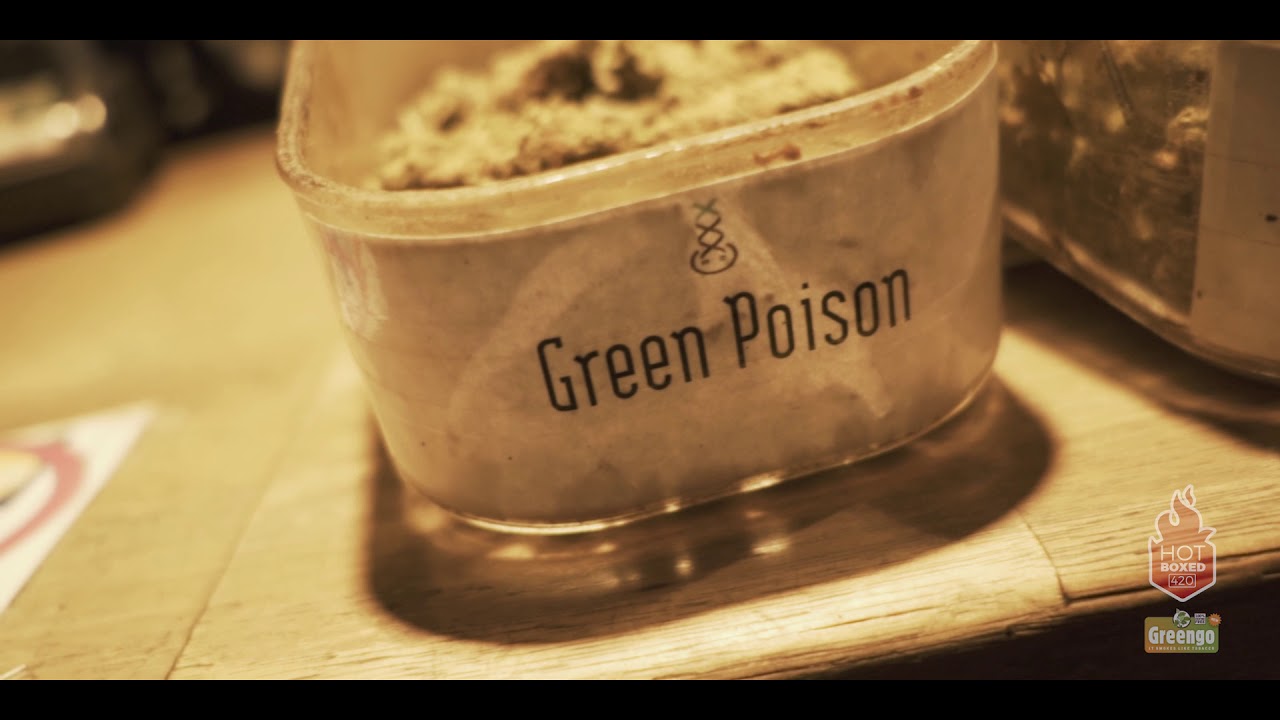 HotBoxed420 - Amsterdam Genetics DNA -2018