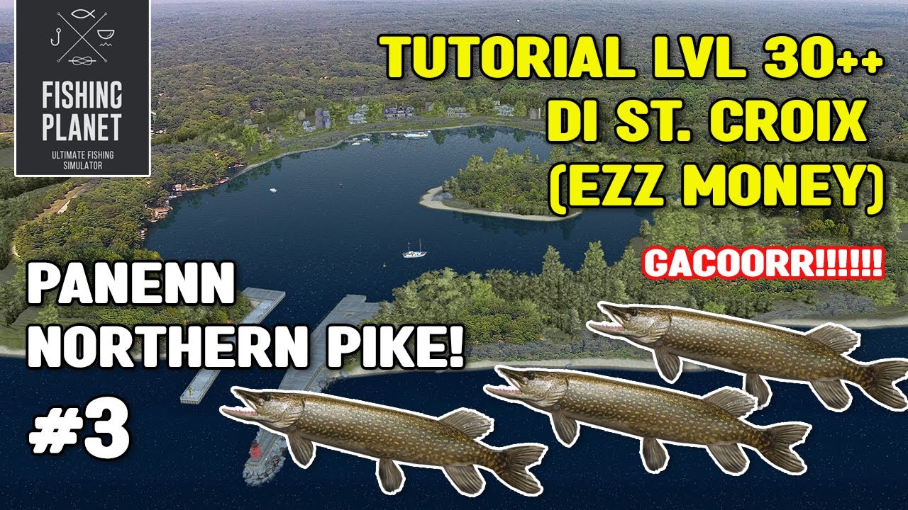 TUTORIAL LVL 30+ DI ST. CROIX PANEN NORTHERN PIKE!! | FISHING PLANET (Bahasa)