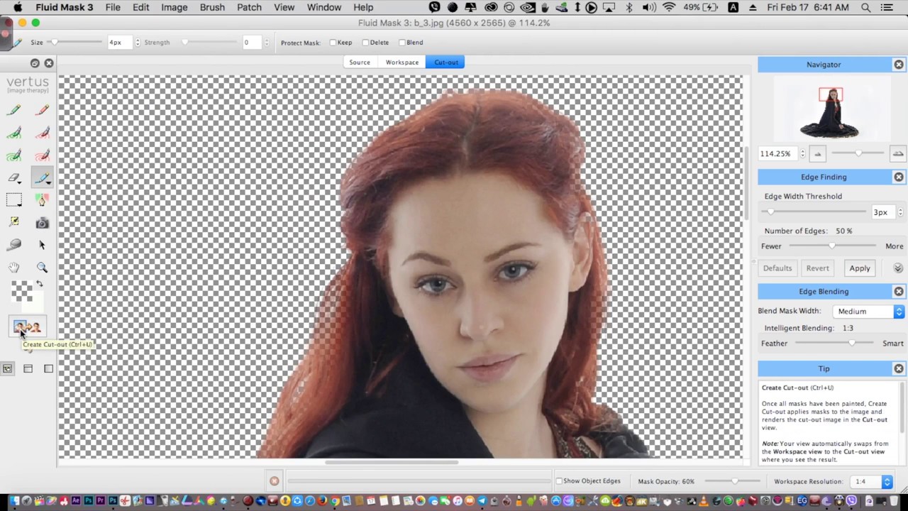 Fluid Mask and Photoshop   Tutorial