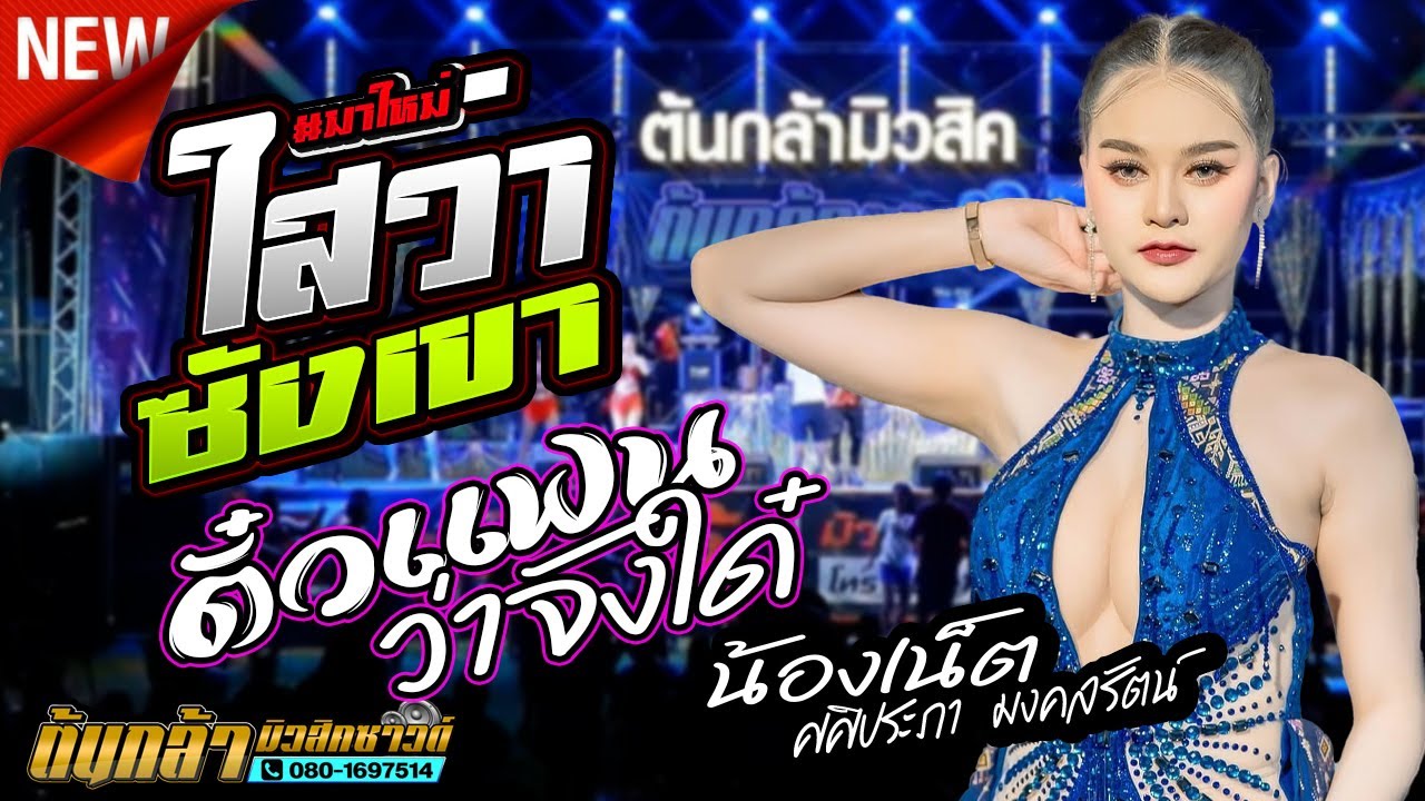 ใสว่าซังเขา,ตั๋วแฟนว่าจังใด๋,เมียเช่า,น้องเน็ต ศศิประภา มงคลรัตน์,นครพนาแบนด์,ต้นกล้ามิวสิคซาวด์