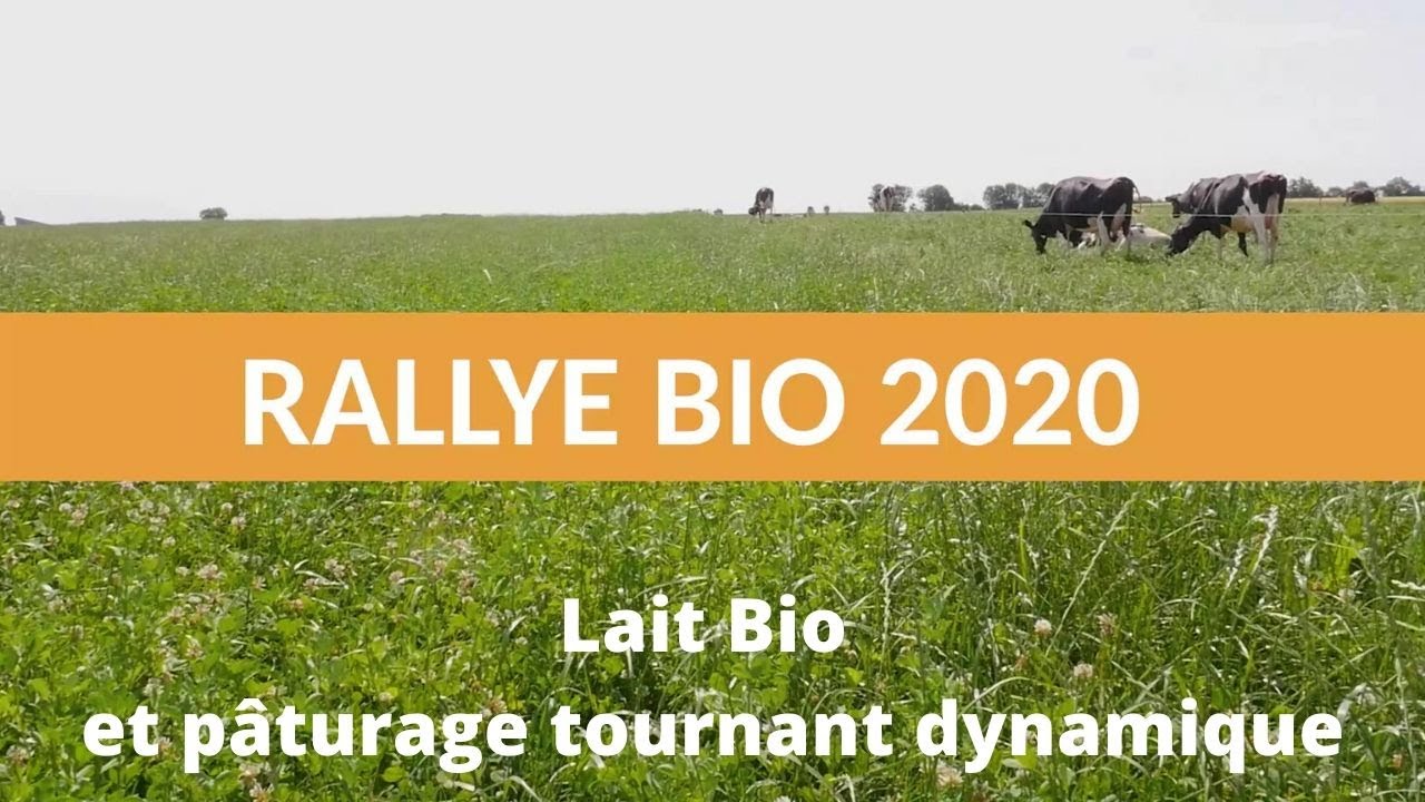 Lait bio et pâturage tournant dynamique