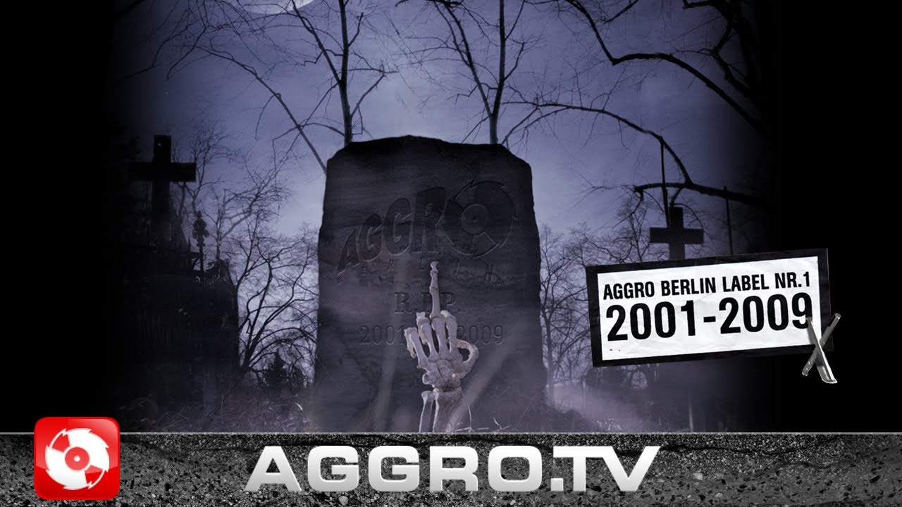 FLER FEAT  SIDO VERRÜCKT WIE KRASS   AGGRO BERLIN LABEL NR 1 2001 2009 X   ALBUM   TRACK 29